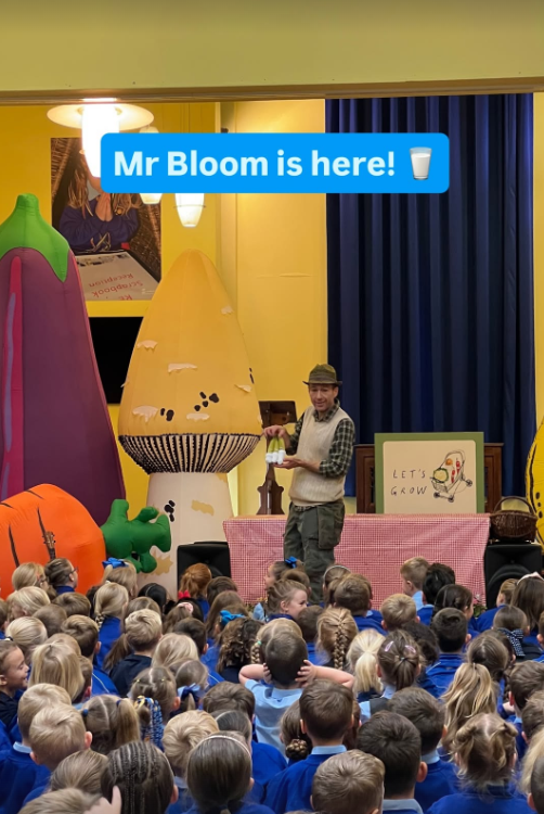 Mr bloom 1